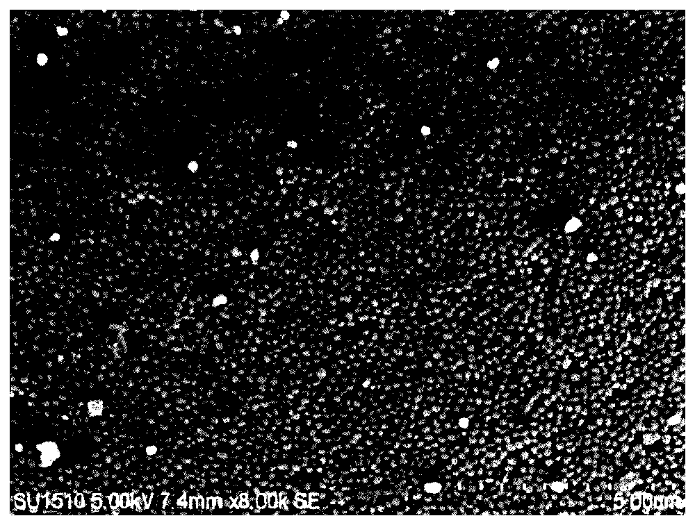CN117138835A, drawing sheet 1