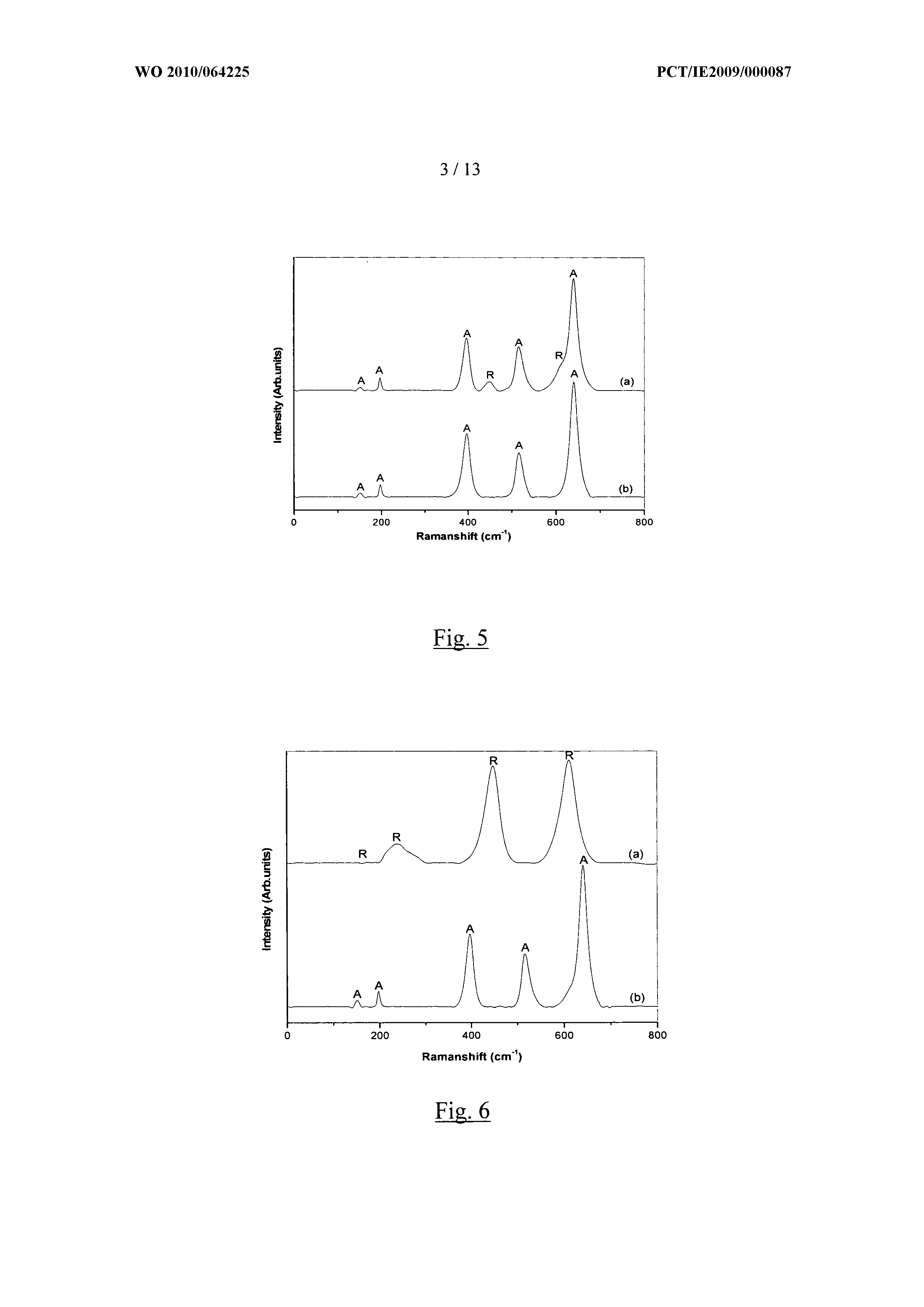 WO2010064225A1, drawing sheet 3 of 24
