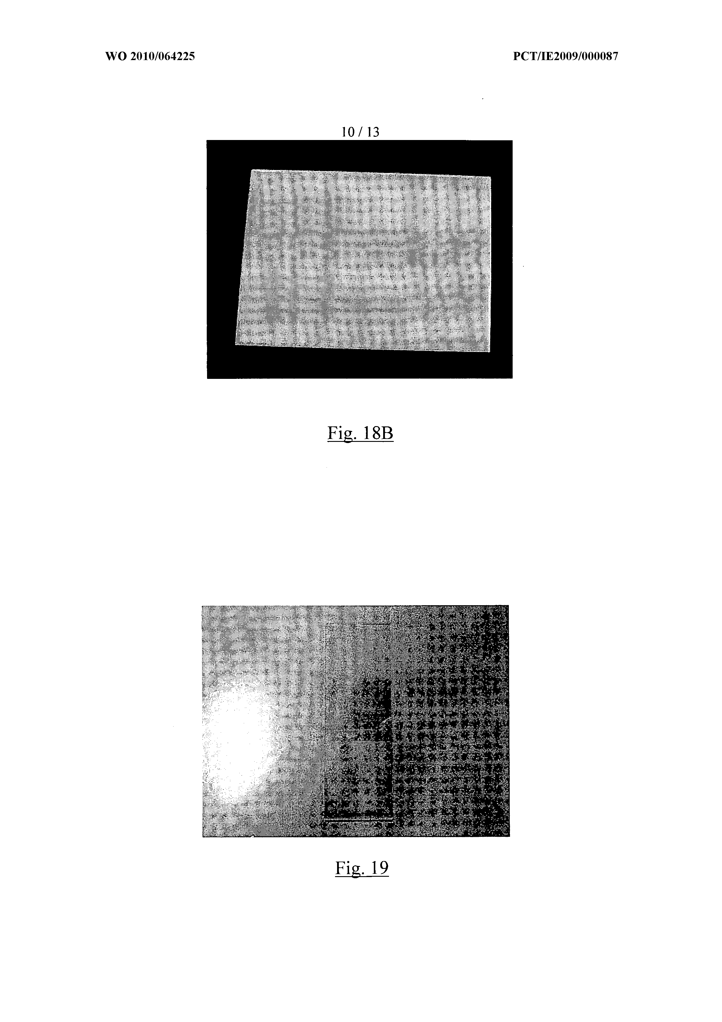 WO2010064225A1, drawing sheet 10 of 24